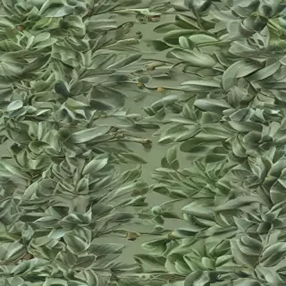aesthetic sage green