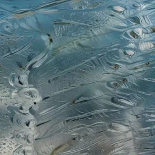 glass texture transparent