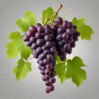 grapes png