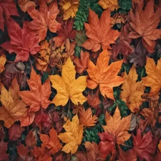 autumn leaves iphone wallpaper