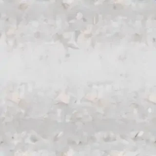 white grey background