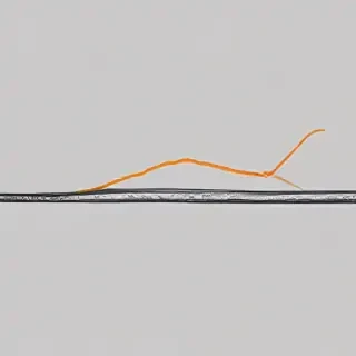 curve line png