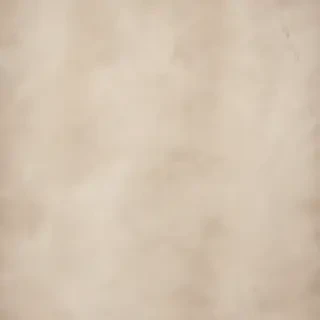 neutral backgrounds
