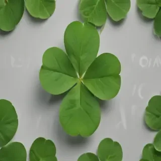 4 leaf clover