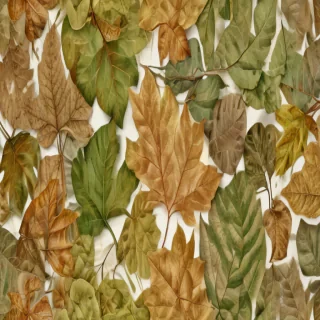 leaves no background
