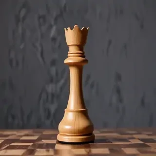 rook chess