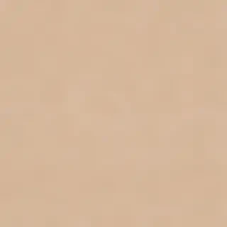 beige plain background
