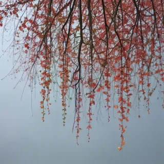 aesthetic falling