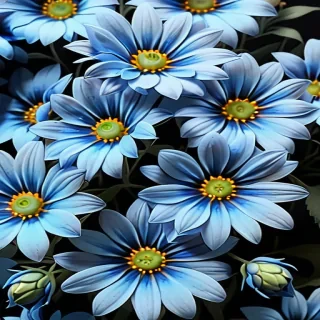 aesthetic blue flowers