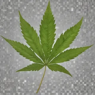 weed leaf png