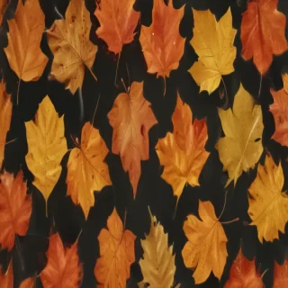 fall leaf png
