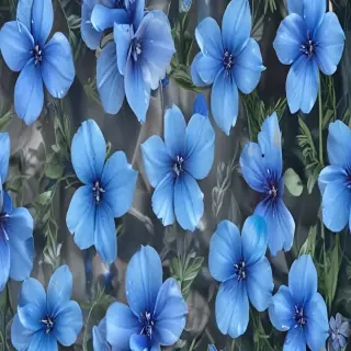 transparent blue flowers