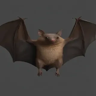 bat png