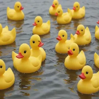 rubber duck png