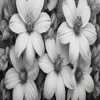 pencil drawing flowers