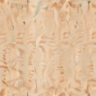 beach transparent