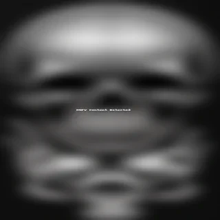 skulls transparent