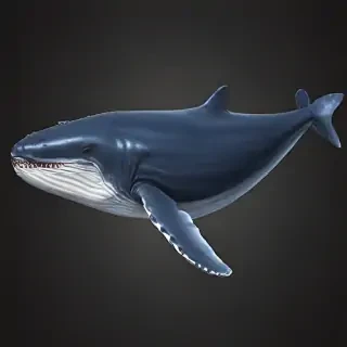 blue whale png
