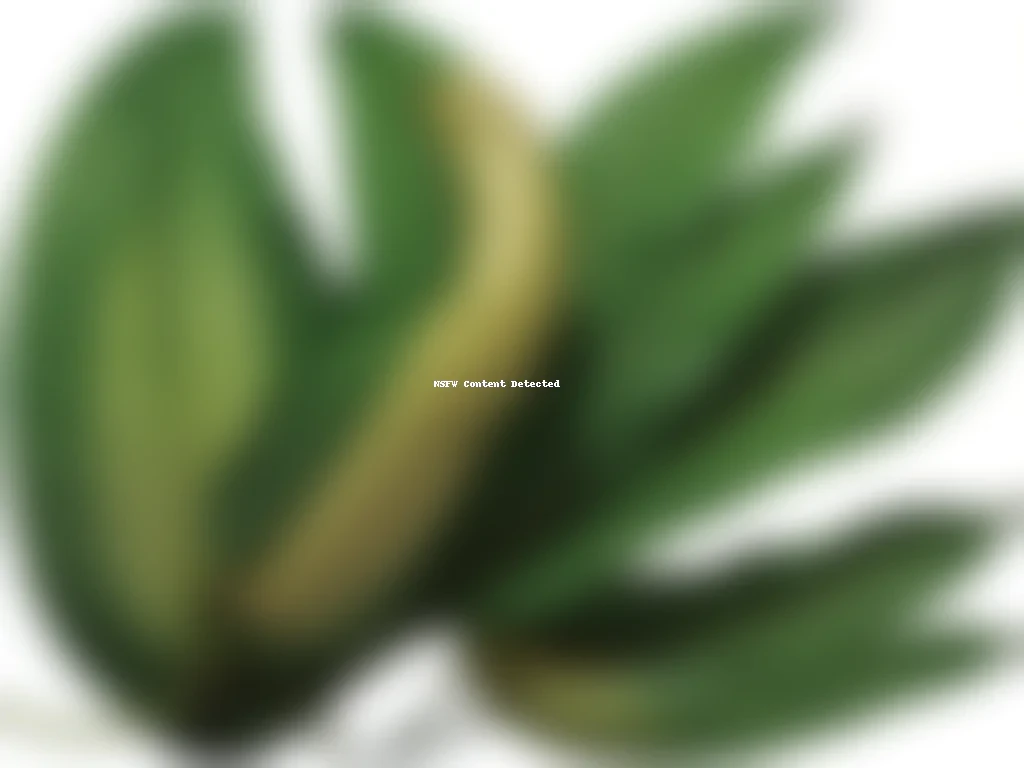 banana leaf png