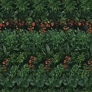plants zoom backgrounds