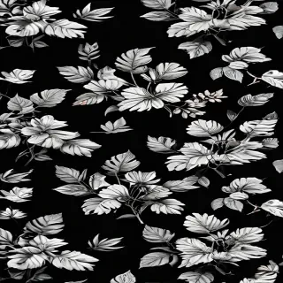 aesthetic wallpapers black