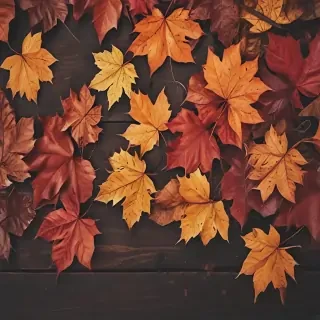 fall wallpapers iphone