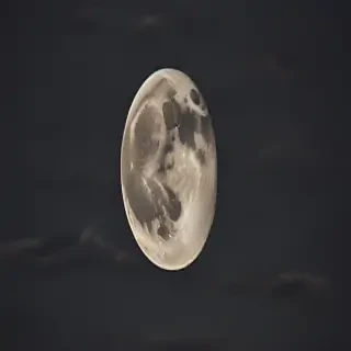 vintage moon