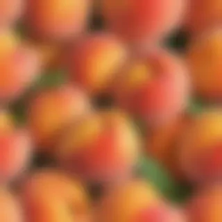peach png