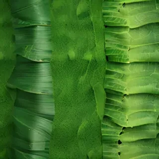 green textures