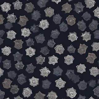 police backgrounds