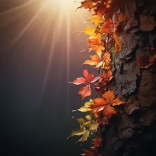light iphone wallpaper