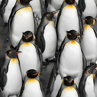 penguins background