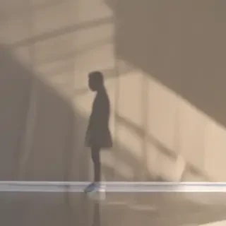 shadow wallpaper