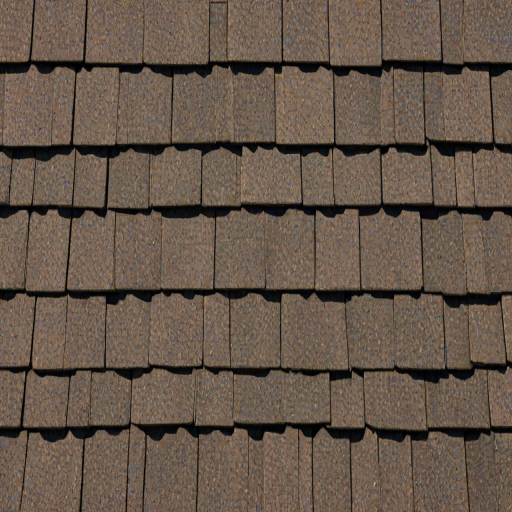 shingles images