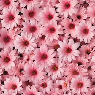 cute flower wallpaper aesthetic