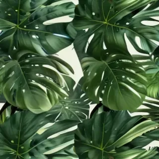 aesthetic monstera wallpaper