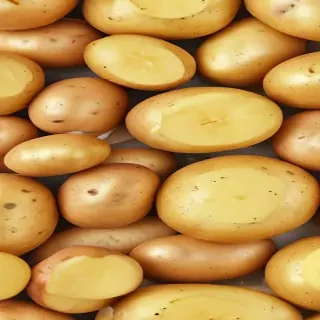 potato png