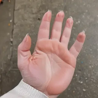cat paw