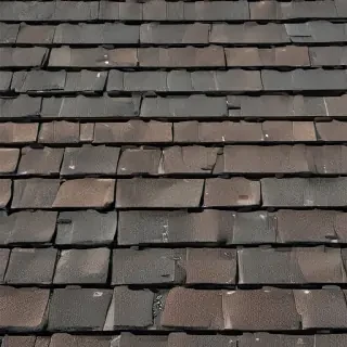 pictures of shingles