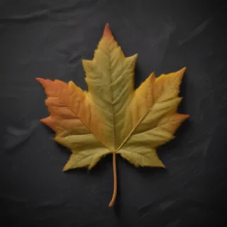 canada png