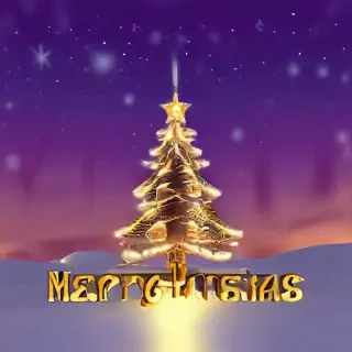merry christmas wishes