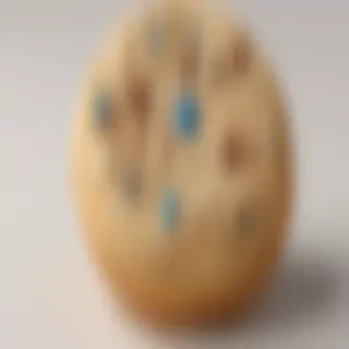 cookie png