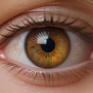 human eye png