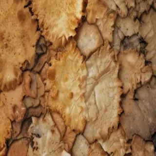 rough textures