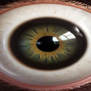 eyeball png