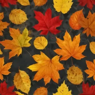 png fall leaves
