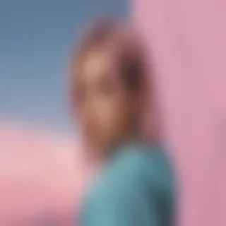 aesthetic boarder