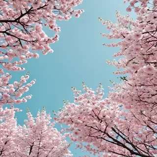 spring aesthetic wallpaper