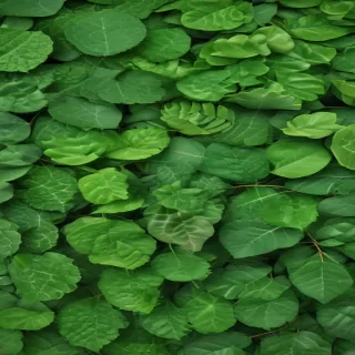 green leaf background