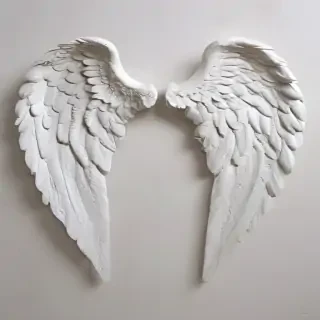 picture of angel wings